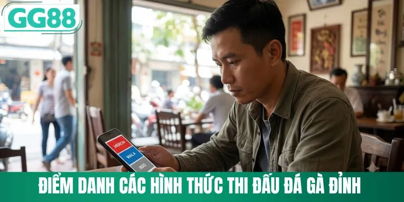 Đá Gà C1 Trực Tiếp Từ GG88 Với Những Chiến Kê Siêu Hạng 3 Điểm danh các hình thức thi đấu đá gà đỉnh
