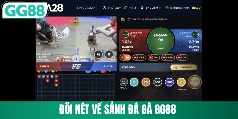 Đá Gà GG88 1 Đôi nét về sảnh đá gà GG88